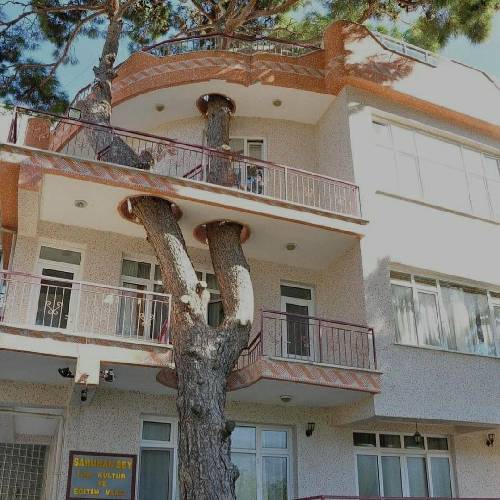 با صدای زن اره زندونیمه بی ملاقاتی مه